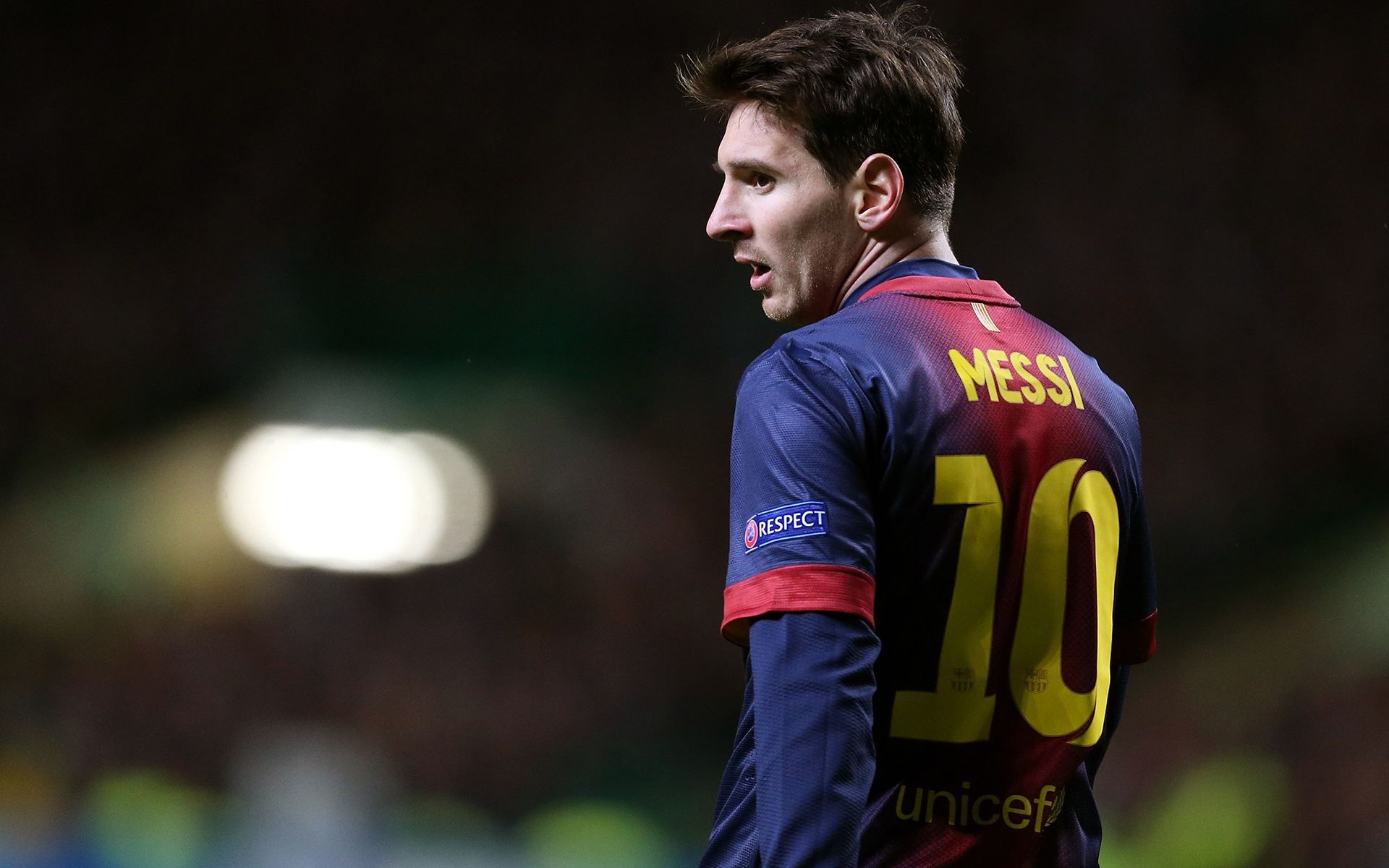 与生态系统 与生态系统